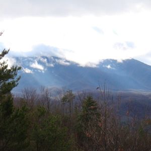 Meet your Posher, Derek